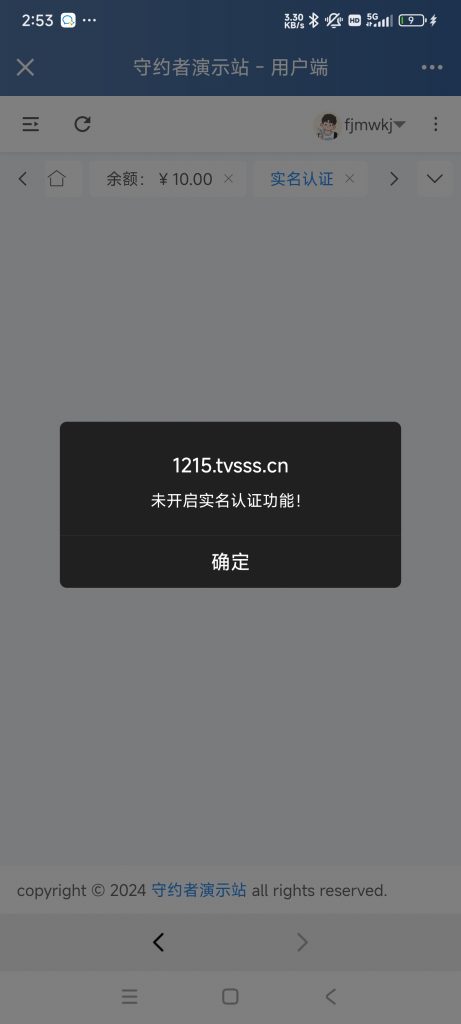 图片[16]-守约者二级域名分发系统PHP经典版介绍及部分截图-守约者博客